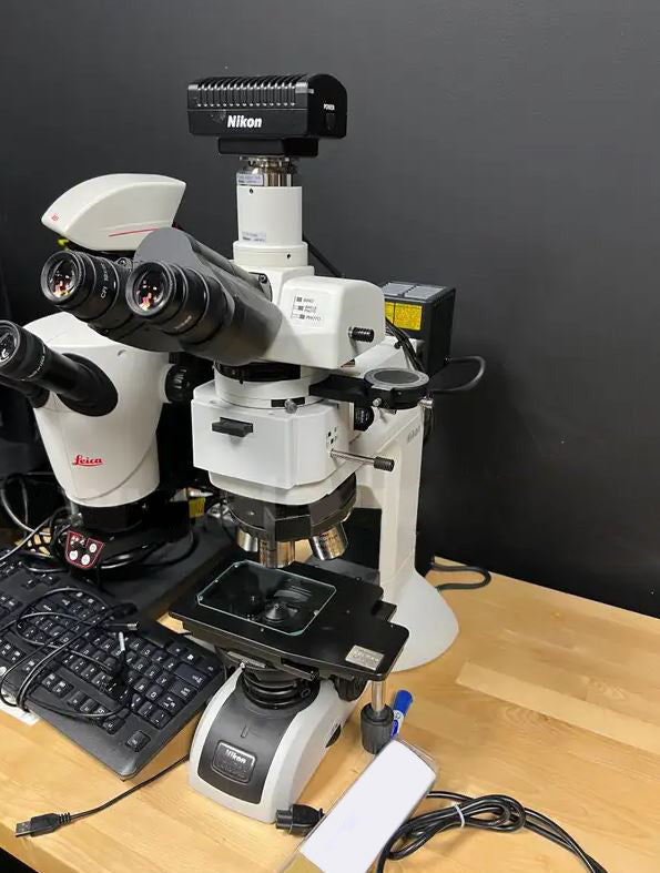 Nikon Eclipse LV 100 ND Microscope