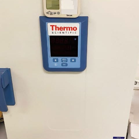 Thermo Scientific Heratherm OMH 60 S Oven