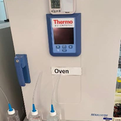 Thermo Scientific Heratherm OMH 60 S Oven