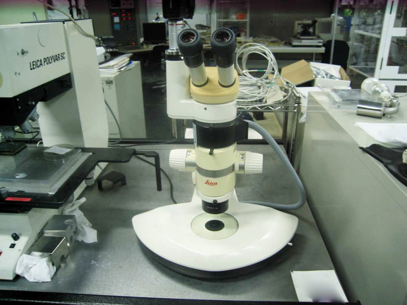 KLA / Leica MZ APO Stereo Microscope