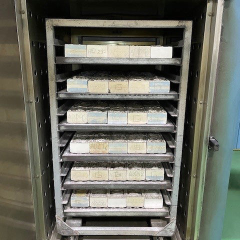 Blue M DC 8748 Electric Burn-In Oven