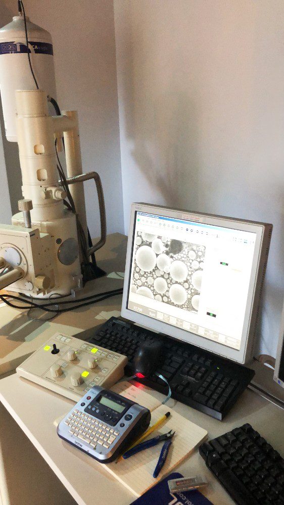Jeol JSM 6060 LV Turbo SEM (Scanning Electron Microscope)