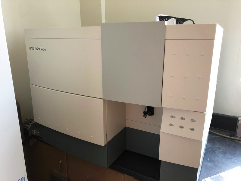 Becton Dickinson FACSCalibur Flow Cytometer