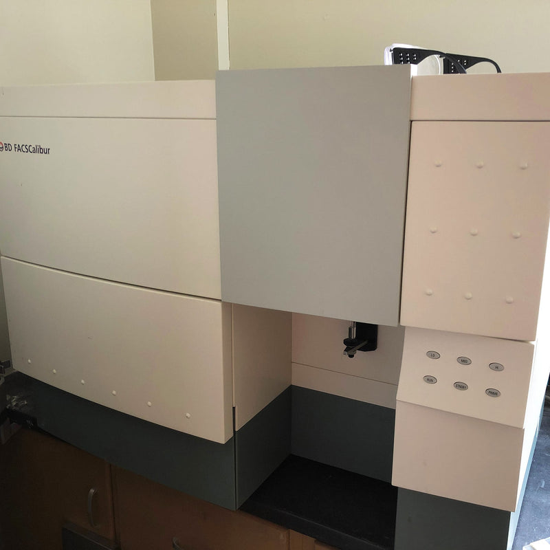 Becton Dickinson FACSCalibur Flow Cytometer