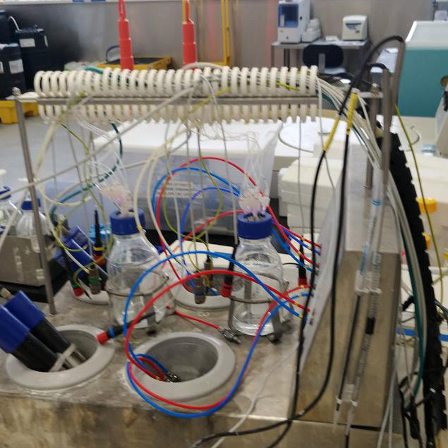 Eppendorf Dasgip Parallel Fermenter
