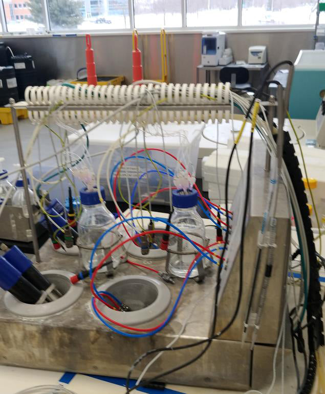 Eppendorf Dasgip Parallel Fermenter