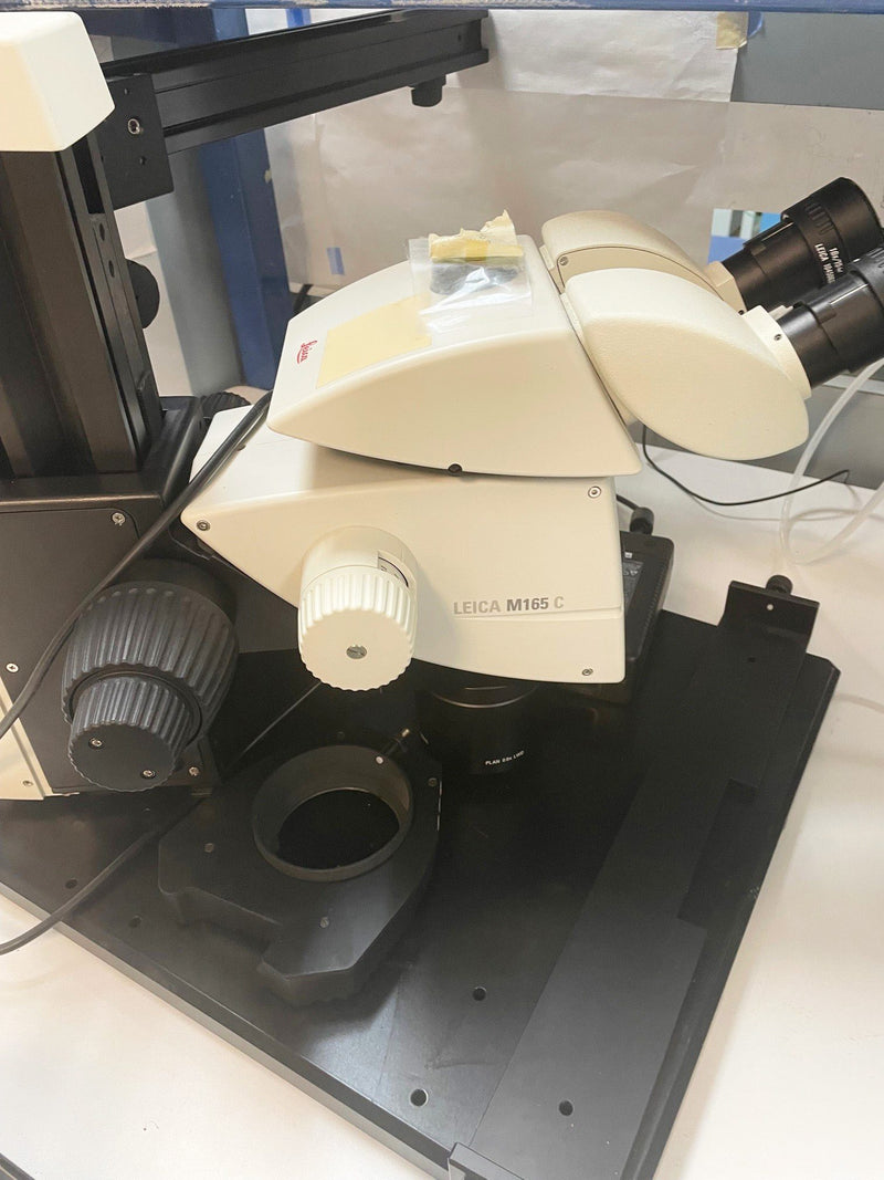 KLA / Leica M 165 C Microscope