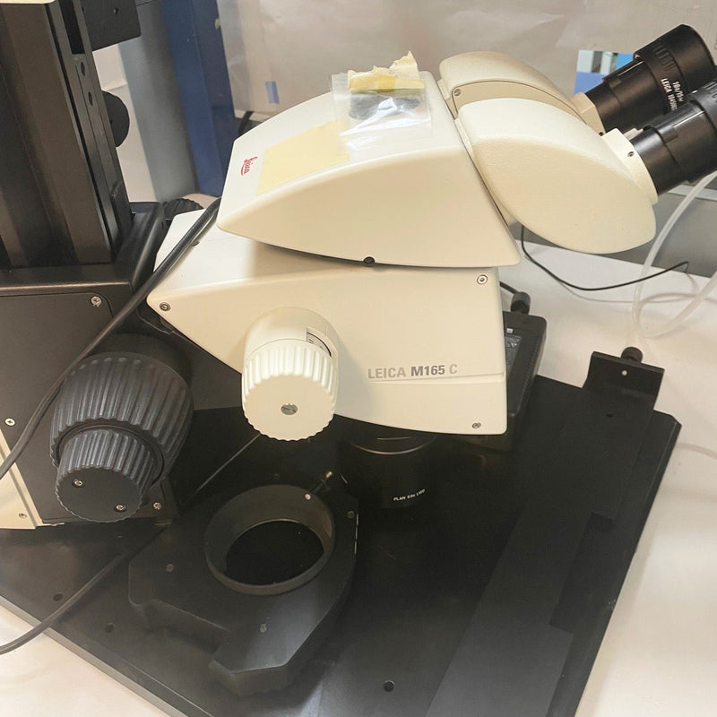 KLA / Leica M 165 C Microscope