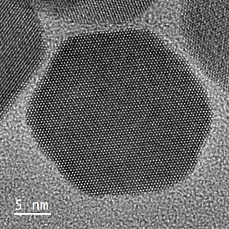 Jeol 2100 SEM (Scanning Electron Microscope)