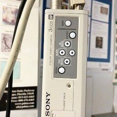 Olympus BX 41 TF Microscope