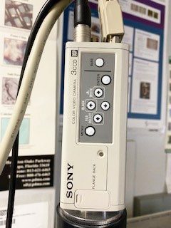 Olympus BX 41 TF Microscope