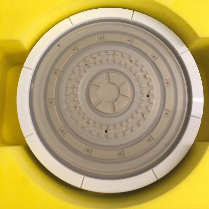 Ebara FREX 200 CMP (Chemical Mechanical Polisher)