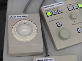 Jeol JSM 7600 F FE-SEM (Field Emission Scanning Electron Microscope)