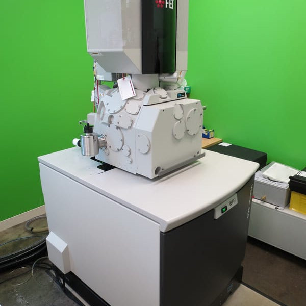 Thermo Fisher Scientific / FEI Verios 460 SEM (Scanning Electron Microscope)