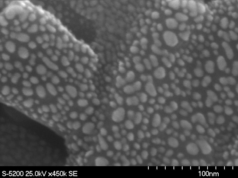 Hitachi S 5100 SEM (Scanning Electron Microscope)