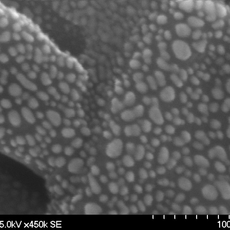 Hitachi S 5100 SEM (Scanning Electron Microscope)