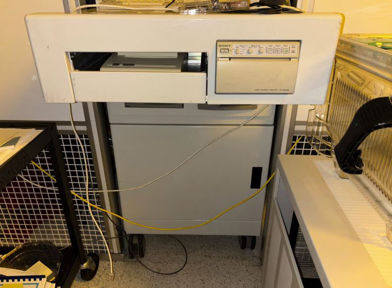 Applied Materials NanoSEM 3 D CD-SEM (Critical Dimension Scanning Electron Microscope)