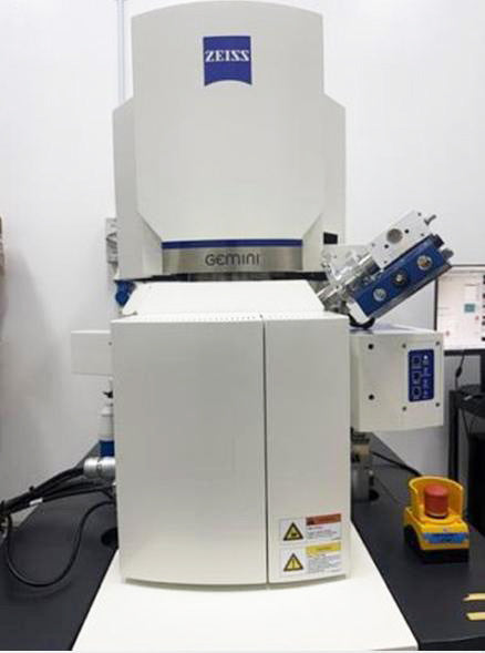 Zeiss Merlin FE-SEM (Field Emission Scanning Electron Microscope)
