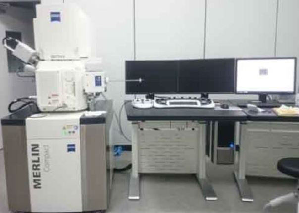 Zeiss Merlin Compact FE-SEM (Field Emission Scanning Electron Microscope)