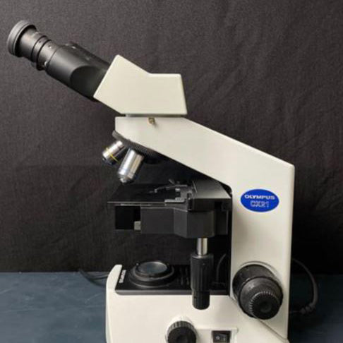 Olympus CX 21 Microscope