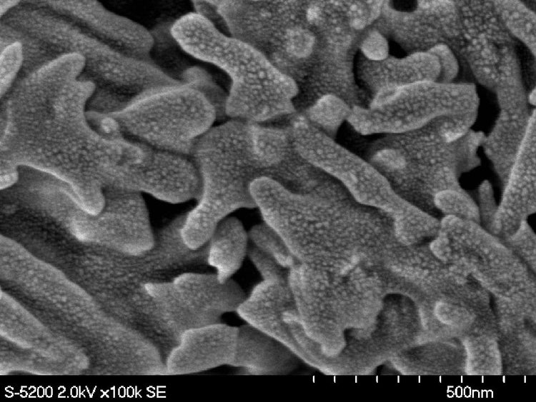 Hitachi S 5100 SEM (Scanning Electron Microscope)