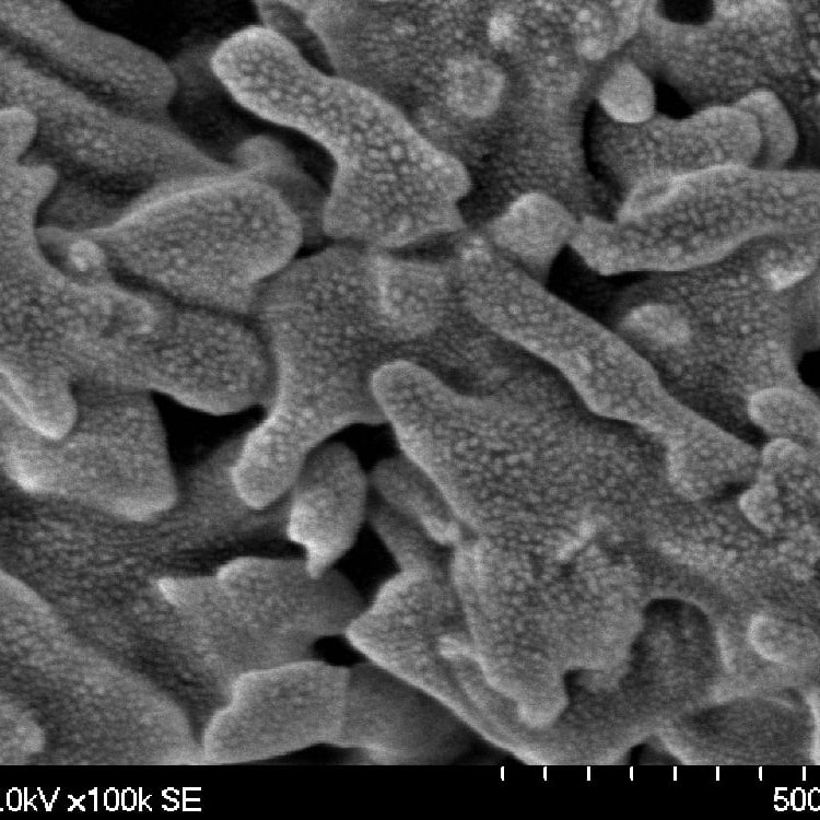 Hitachi S 5100 SEM (Scanning Electron Microscope)