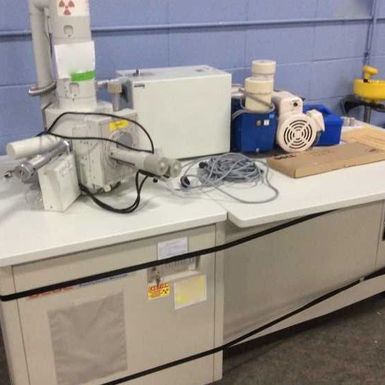 Jeol JSM 5610 LV SEM (Scanning Electron Microscope)