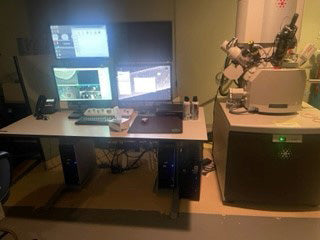 Thermo Fisher Scientific / FEI Versa 3 D Dual Beam FIB (Focused Ion Beam)
