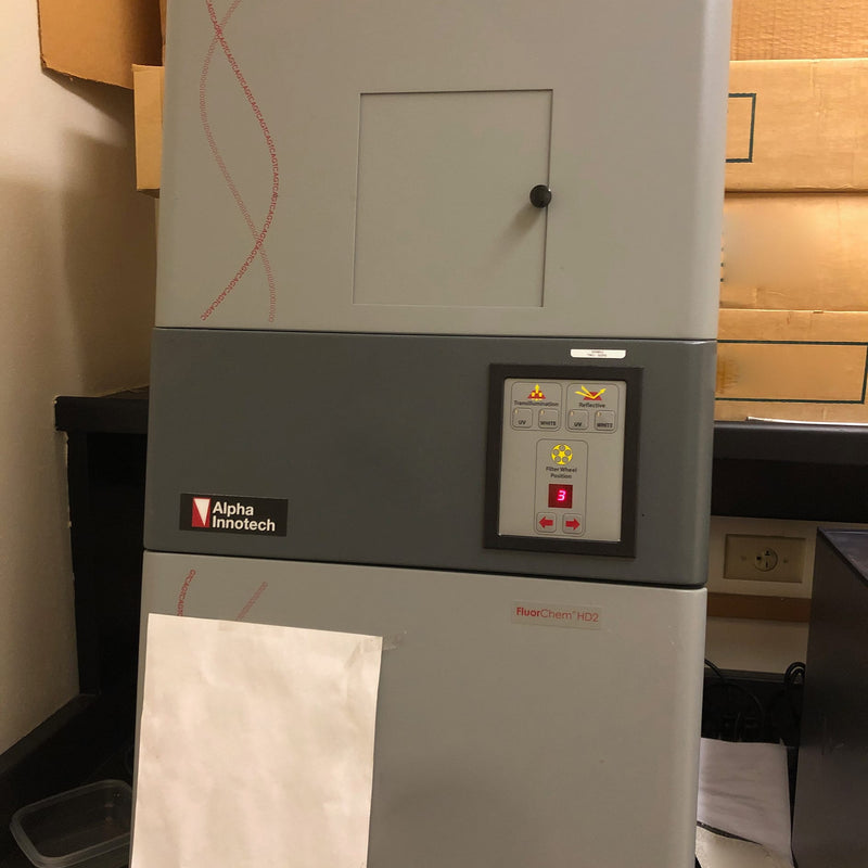 Becton Dickinson FACSCalibur Flow Cytometer