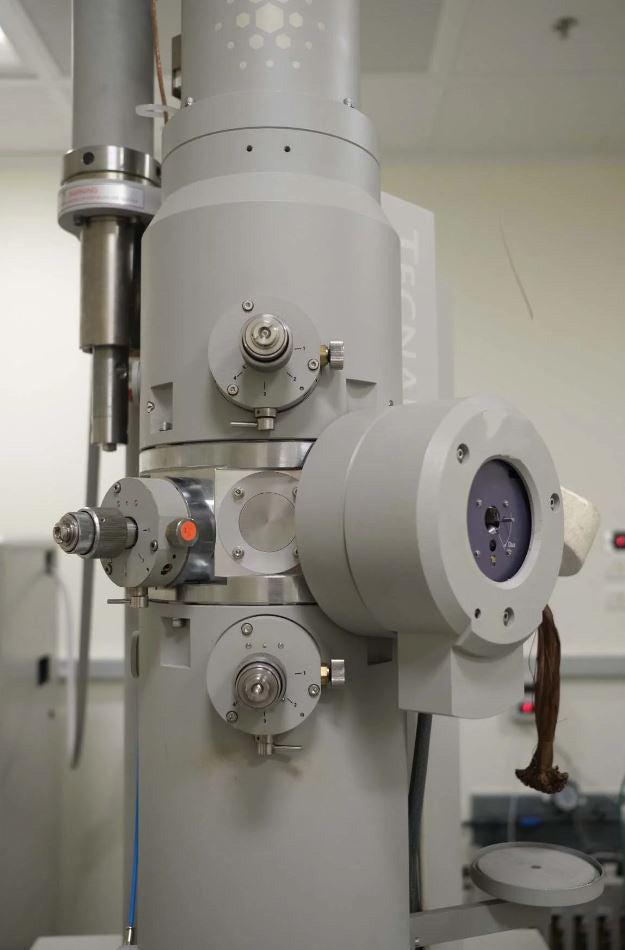 Thermo Fisher Scientific / FEI T 12 TEM (Transmission Electron Microsc ...