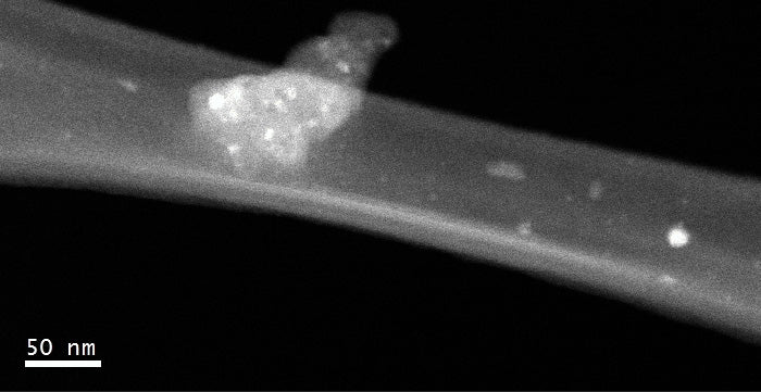Jeol 2100 SEM (Scanning Electron Microscope)