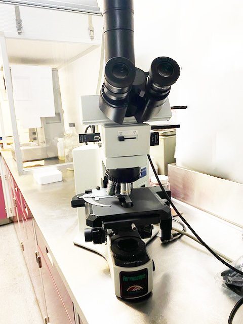 Olympus BX 41 TF Microscope