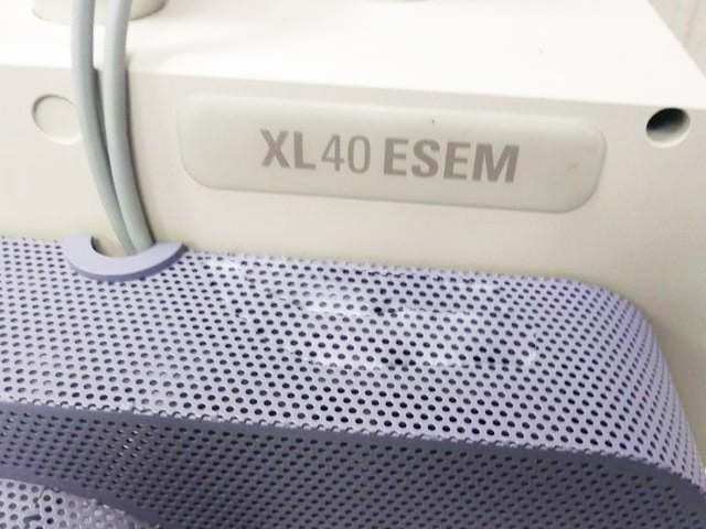 Thermo Fisher Scientific / FEI XL 40 E-SEM (Environmental Scanning Electron Microscope)