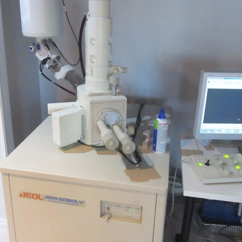 Jeol JSM 6060 LV Turbo SEM (Scanning Electron Microscope)