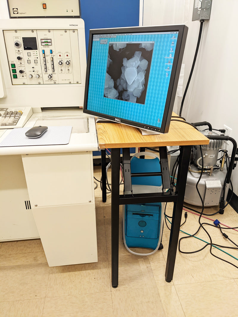Hitachi S 5000 FE-SEM (Field Emission Scanning Electron Microscope)