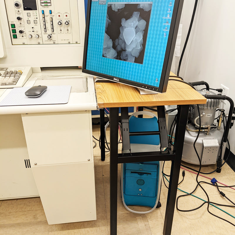 Hitachi S 5000 FE-SEM (Field Emission Scanning Electron Microscope)