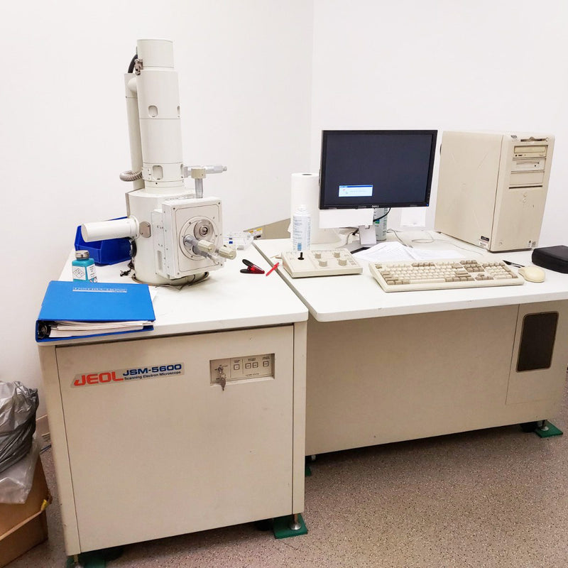 Jeol JSM 5600 Microscope