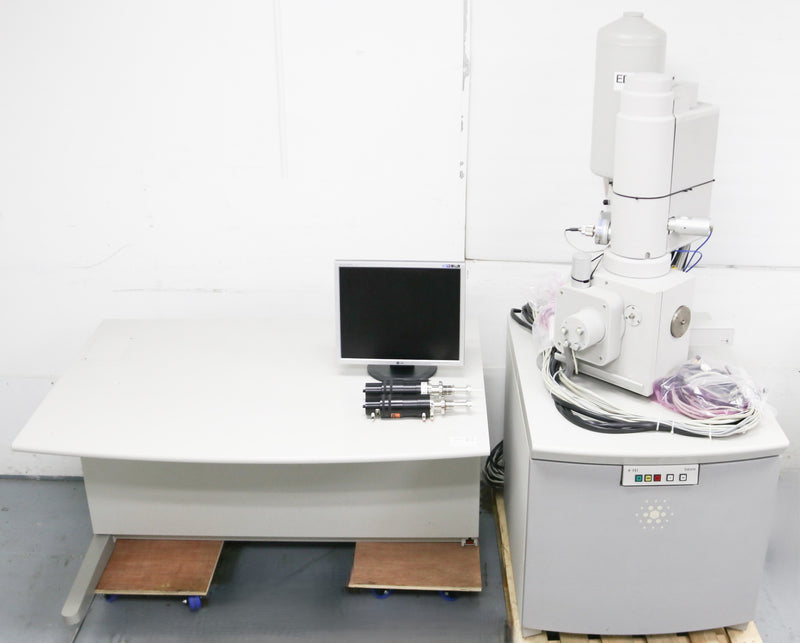 Thermo Fisher Scientific / FEI Sirion XL 30 SEM (Scanning Electron Microscope)