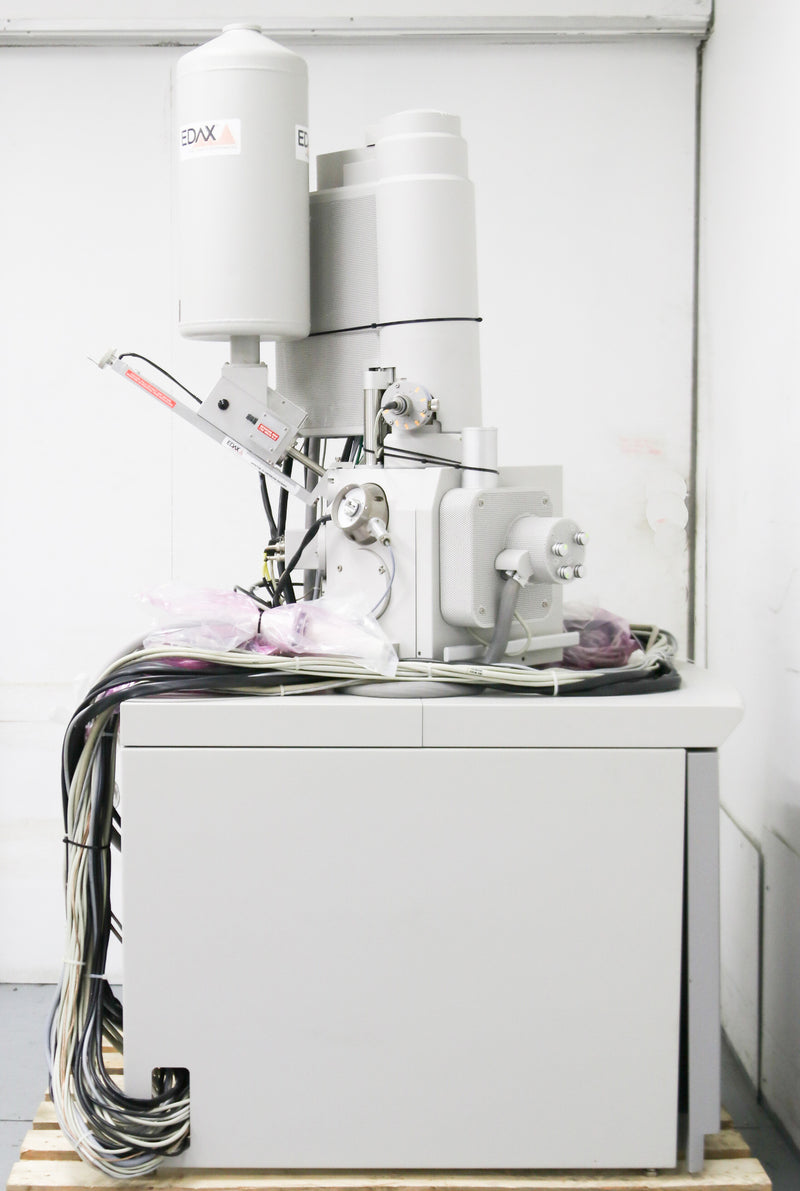 Thermo Fisher Scientific / FEI Sirion XL 30 SEM (Scanning Electron Microscope)