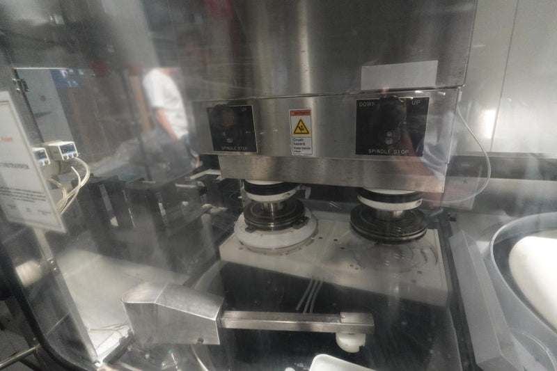 Strasbaugh 6 DS SP CMP (Chemical Mechanical Polisher)