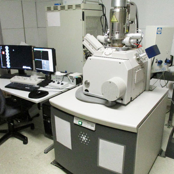 Thermo Fisher Scientific / FEI NanoSEM 600 SEM (Scanning Electron Microscope)