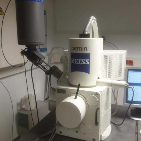 Zeiss Leo 1530 FE-SEM (Field Emission Scanning Electron Microscope)