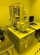 Hitachi S 4800 FE-SEM (Field Emission Scanning Electron Microscope)