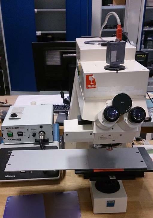 Zeiss LSM 20 Confocal Microscope