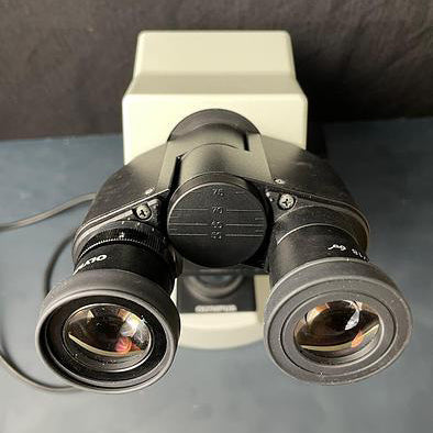 Olympus CX 21 Microscope