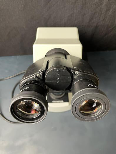 Olympus CX 21 Microscope