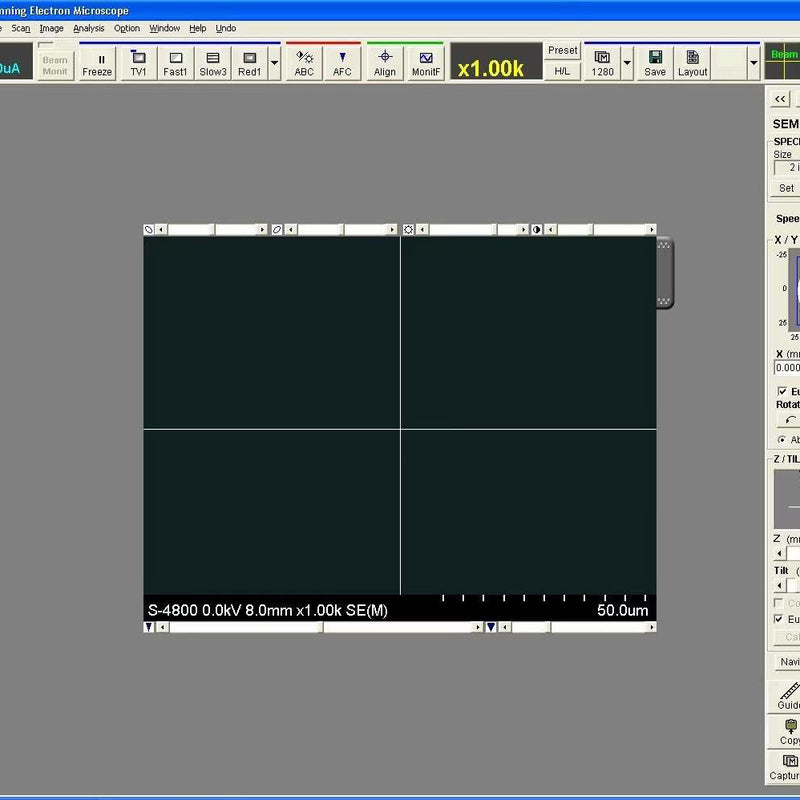 Hitachi S 4800 FE-SEM (Field Emission Scanning Electron Microscope)