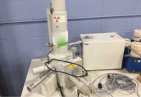 Jeol JSM 5610 LV SEM (Scanning Electron Microscope)