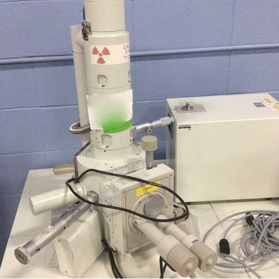 Jeol JSM 5610 LV SEM (Scanning Electron Microscope)