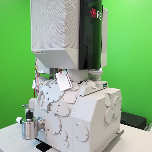 Thermo Fisher Scientific / FEI Verios 460 SEM (Scanning Electron Microscope)
